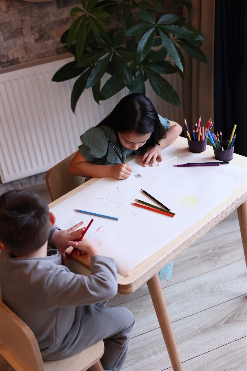 Montessori Masası ve Sandalye Seti - Huş Ağacı (Kalemlikli)